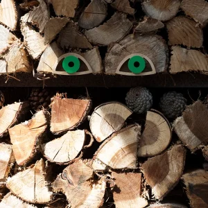 Olhos Pequenos | Verde