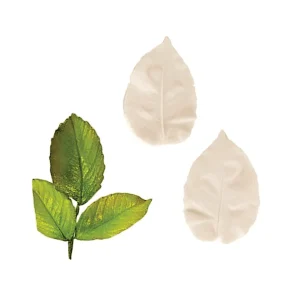 Molde de Silicone com Textura Folhas de Rosa Grandes