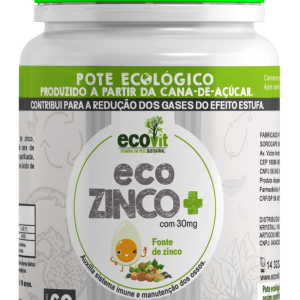ECOZINCO ECOVIT ZINCO 60 CAPS