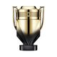 PACO RABANNE INVICTUS VICTORY ELIXIR | Parfum Elixir